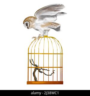 Aquarell fliegende Eule Scheune Eule. Eine realistische Illustration einer Eule. Weißer Vogel mit beigen Flügeln und Kopf Nachtvögel Stockfoto