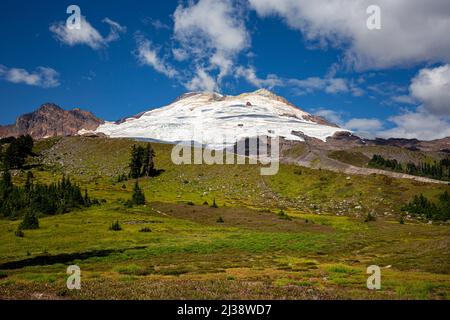 WA21326-00...WASHINGTON - Wiesen unter dem Railroad Grade, der zum Easton Glacier und dem Gipfel des Mount Baker im Mount Baker National Recreat führt Stockfoto