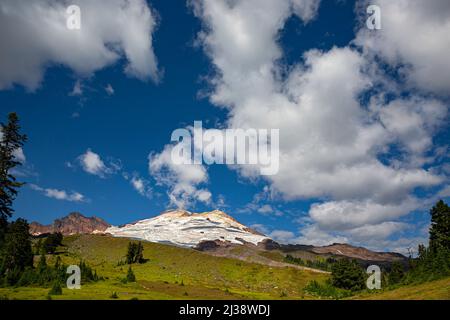 WA21327-00...WASHINGTON - Wiesen unter dem Railroad Grade, der zum Easton Glacier und dem Gipfel des Mount Baker im Mount Baker National Recreat führt Stockfoto