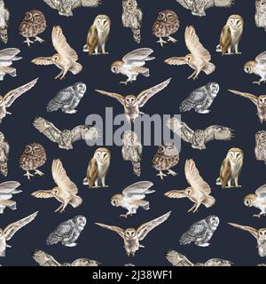 Aquarell Nahtloses Muster fliegende Eule Scheune Eule. Eine realistische Illustration einer Eule. Digitales Papier. Weißer Vogel mit beigen Flügeln und Kopf nachtaktiv Stockfoto