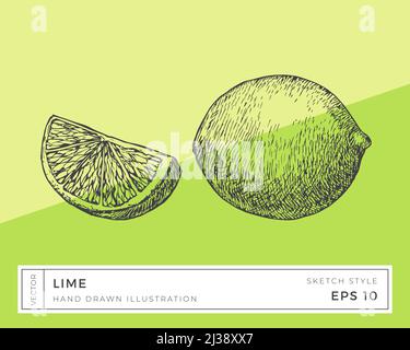 Handgezeichneter Vektor Lime Fruit Illustration. Vegane Pflanzenbasierte Lebensmittelzeichnung mit buntem Hintergrund isoliert Stock Vektor