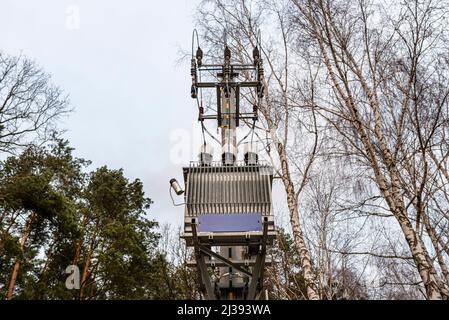 Niederspannungs-Transformatorstation, die auf einem Betonmast am Waldrand steht. Stockfoto