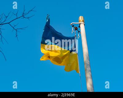 Ukrainische Flagge vor blauem Himmel. Wind bewegt die Flagge. Die Farben sind blau und gelb und das Textil ist gestreift. Blick auf den Fahnenmast. Stockfoto