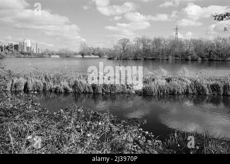 Der Coppermill Stream und das Walthamstow Reservoir auf den Walthamstow-Sümpfen im frühen Frühjahr, Nord-London, Südostengland Stockfoto