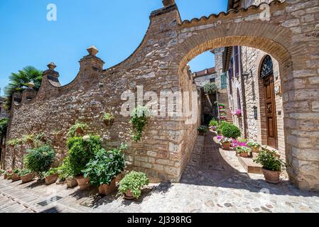 Enge gepflastertes Straße in der Altstadt, Spello (PG), Umbrien, Italien Stockfoto