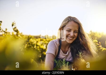 Sie kennt ihre Pflanzen. Aufnahme einer jungen Frau, die auf einem Bauernhof zu ihren Ernten aufwuchs. Stockfoto