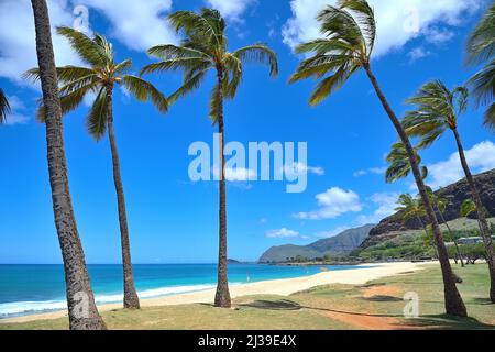 Landschaftliche Eindrücke vom berühmten Honolulu, Oahu HI Stockfoto