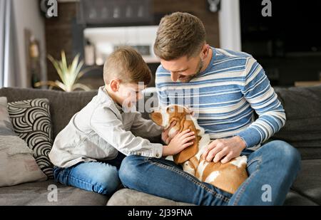 Vater oder Pate, die Spaß im Wohnzimmer zu Hause mit Basset Hund Stockfoto