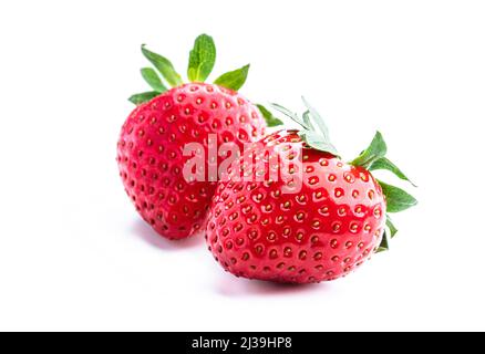 Zwei Erdbeeren schließen isoliert auf weißem Hintergrund Stockfoto
