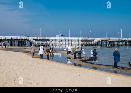 30. August 2020, Gdask, Polen, Blick auf den Sopot-Damm an der Ostsee. Die Menschen füttern die Möwenvögel Stockfoto