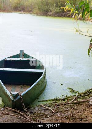 Altes Boot an einem Sumpf bei Sonnenuntergang. Ukraine Stockfoto