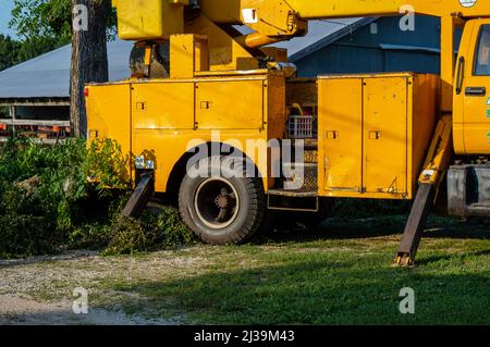 Ein Utility-Eimer-LKW ist unerlässlich, wenn es Zeit ist, einen alten und sterbenden Baum aus einem Wohnhof abzuschneiden. Ein Profi ist ein muss. Stockfoto