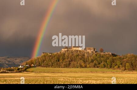 Stirling, Schottland, Großbritannien. 6. April 2022. Wetter in Großbritannien: Ein atemberaubender Regenbogen erleuchtete den dramatischen dunklen Himmel über Stirling Castle kurz vor Sonnenuntergang, mit einer von der Sonne beleuchteten Möwenschar, die über dem Schloss rollte. Quelle: Kay Roxby/Alamy Live News Stockfoto