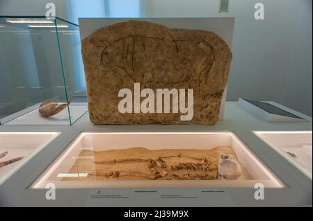 Reggio Calabria, Italien 10/05/2016: Nationales Archäologisches Museum. © Andrea Sabbadini Stockfoto