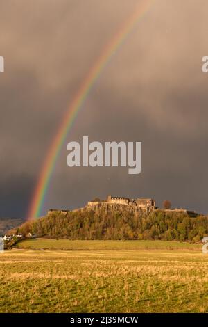 Stirling, Schottland, Großbritannien. 6. April 2022. Wetter in Großbritannien: Ein atemberaubender Regenbogen erleuchtete den dramatischen dunklen Himmel über Stirling Castle kurz vor Sonnenuntergang, mit einer von der Sonne beleuchteten Möwenschar, die über dem Schloss rollte. Quelle: Kay Roxby/Alamy Live News Stockfoto