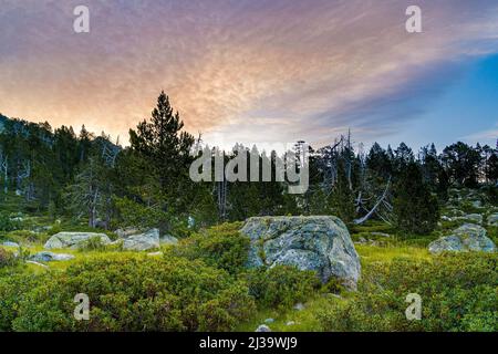 Gelbe und orange Wolken über Wald in den französischen Pyrenäen mit Felsen Stockfoto