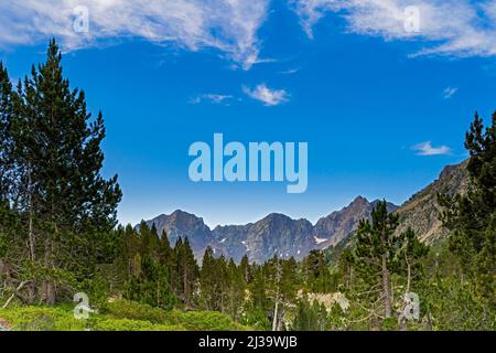 Blauer Himmel und sonniger Tag über den französischen Pyrenäen mit Firs Stockfoto