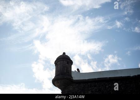 Niedriger Blick auf einen Teil einer Seeschutzfestung. Salvador Stadt, Bahia Staat, Brasilien. Stockfoto