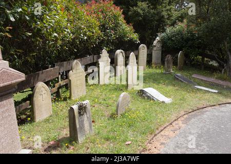 Neuseeland, Wellington - Januar 11 2020: Blick auf Grabsteine auf dem Bolton Street Cemetery am 11 2020. Januar in Wellington, Neuseeland. Stockfoto