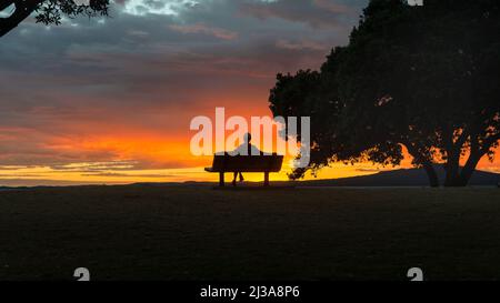 Silhouettenbild eines Mannes, der bei Sonnenaufgang auf der Bank sitzt. Umrahmt von Pohutukawa-Bäumen. Auckland. Stockfoto