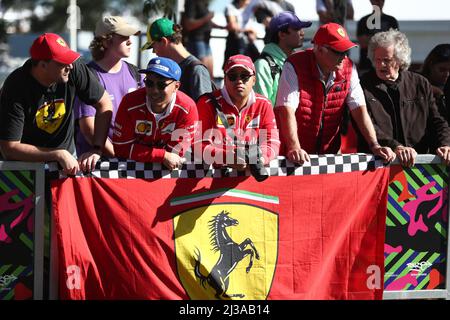 Albert Park, Melbourne, Victoria, Australien. 07. April 2022. FIA Formel-1-Weltmeisterschaft 2022 - Formel 1 Rolex Australian Grand Prix - Ferari-Fans auf dem Melbourne Walk gesehen -Bildquelle: brett keating/Alamy Live News Stockfoto