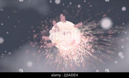 Virus, das an den Zellrezeptor gebunden ist und RNA injiziert, Coronavirus-Infektionskonzept covid-19 3D-Rendering Stockfoto