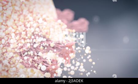 Virus, das an den Zellrezeptor gebunden ist und RNA injiziert, Coronavirus-Infektionskonzept covid-19 3D-Rendering Stockfoto