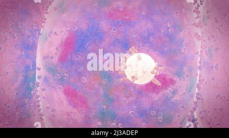Virus, das an den Zellrezeptor gebunden ist und RNA injiziert, Coronavirus-Infektionskonzept covid-19 3D-Rendering Stockfoto
