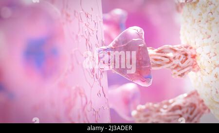 Virus, das an den Zellrezeptor gebunden ist und RNA injiziert, Coronavirus-Infektionskonzept covid-19 3D-Rendering Stockfoto
