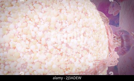 Virus, das an den Zellrezeptor gebunden ist und RNA injiziert, Coronavirus-Infektionskonzept covid-19 3D-Rendering Stockfoto