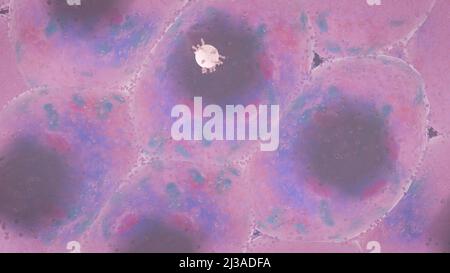 Virus, das an den Zellrezeptor gebunden ist und RNA injiziert, Coronavirus-Infektionskonzept covid-19 3D-Rendering Stockfoto