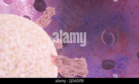 Virus, das an den Zellrezeptor gebunden ist und RNA injiziert, Coronavirus-Infektionskonzept covid-19 3D-Rendering Stockfoto
