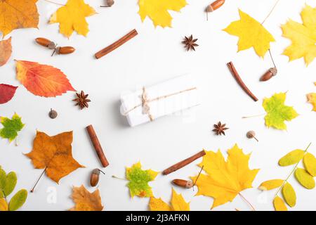 Herbstzusammensetzung. Geschenk, Herbstblätter, Zapfen von Weihnachtsbäumen, trockene Blüten, Eicheln aus Eiche. Draufsicht, flach liegend Stockfoto