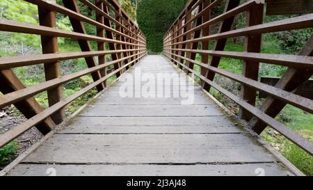 Fußgängerbrücke über den Penitencia Creek im Alum Rock Park. San Jose, Kalifornien, USA. Stockfoto