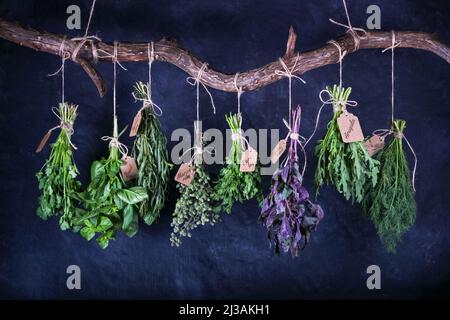 Hängende Trauben essbarer Kräuter mit signierten Anhängern auf einer gebogenen hölzernen Querlatte, Nahaufnahme auf schwarzem Hintergrund Stockfoto