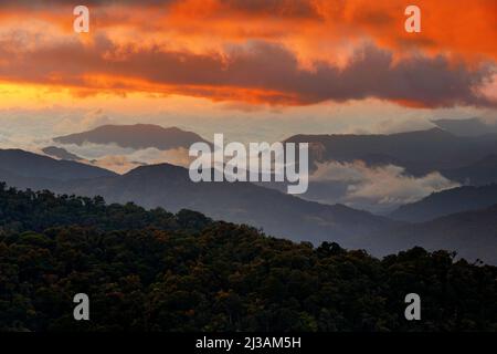 Kalter nebliger Morgen mit Sonnenaufgang in der Dämmerung in einem Tal in Costa Rica Berg. Hügel mit Nebel, Landschaft Costa Rica., schöne neblige Landschaft. Stockfoto