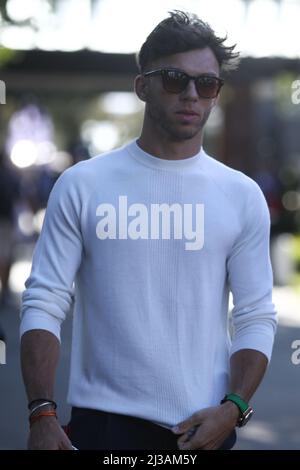 Albert Park, Melbourne, Victoria, Australien. 07. April 2022. FIA Formel 1 Weltmeisterschaft 2022 - Formel 1 Rolex Australian Grand Prix - Pierre Gasly (Frankreich) Racing for Scuderia AlphaTauri posiert für Fotos und signiert Autogramme für Fans auf Melbourne Walk-Bildquelle: brett keating/Alamy Live News Stockfoto