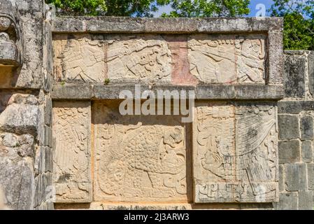 Relief, Jaguar frisst ein menschliches Herz, Plattform der Adler und Jaguare Plataforma de Aguilas y Jaguares, Chichen Itza, Yucatan, Mexiko Stockfoto