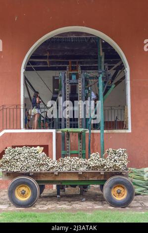 Lieferung von henequen Agaves, Landwirtschaftsmuseum, Produktion von Sisal-Fasern, Hacienda Sotuta de Peon, Yucatan, Mexiko Stockfoto