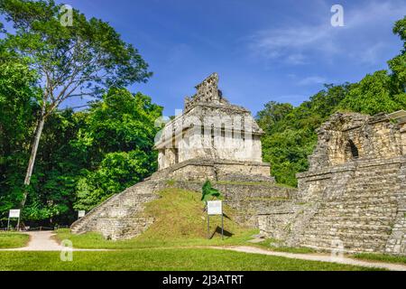 Tempel der Sonne Templo del Sol, Maya-Ruinen, Palenque, Chiapas, Mexiko Stockfoto