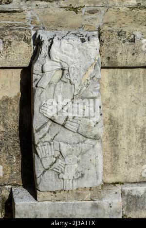 Steinrelief im Palast (El Palacio), Maya-Ruinen, Palenque, Chiapas, Mexiko Stockfoto