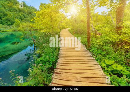 Wandern auf dem Steg unter den Wasserfällen am Milino Jezero See. Nationalpark Plitvicer Seen in Kroatien in der Region Lika. UNESCO-Weltkulturerbe Stockfoto