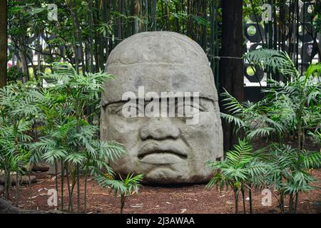 Olmec Colossal Head, Nationalmuseum Museo Nacional de Antropologia, Mexiko-Stadt, Mexiko Stockfoto