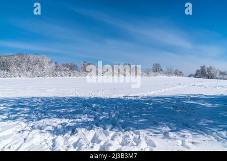 Deutschland, Weißer Schnee bedeckt Winter Wunderland Landschaft am sonnigen Tag mit blauem Himmel und viele Schritte von Touristen, die durch den Schnee zu Fuß Stockfoto