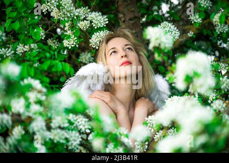 Schöne weibliche Frau mit weißen Flügeln mit weißen Frühlingsblumen. Stockfoto