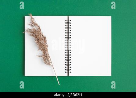 Notizbuch mit Bleistift. Offenes Notizbuch auf grünem smaragdgrünen Hintergrund, spiralförmiger Notizblock mit trockenem Pampagras. Büro flach liegend. Stockfoto