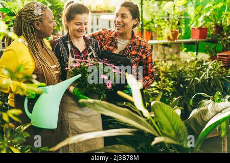 Multirassische ältere Frauen, die im Gewächshausgarten arbeiten - Fokus auf die rechte weibliche Hand Stockfoto