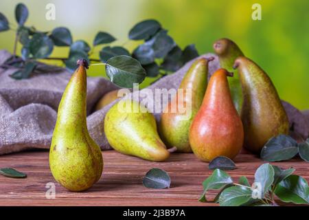 Ländliche Stillleben - Blick auf eine Konferenz Birne auf einem Holztisch, Gruppe von Birnen Nahaufnahme mit selektivem Fokus Stockfoto