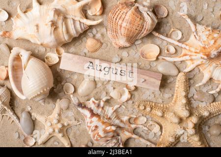 August Inschrift auf Sand mit Seesternen und Muscheln Stockfoto
