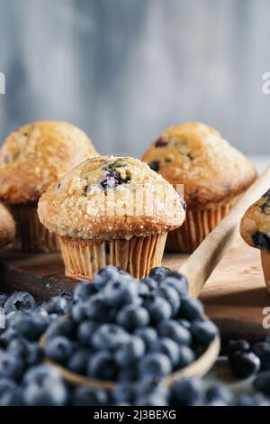 Frische Blaubeer-Muffins mit rohen Blaubeeren, die aus einem Holzlöffel in der Vorderansicht verschüttet werden. Selektiver Fokus auf der Mitte mit unscharfem Hintergrund. Stockfoto